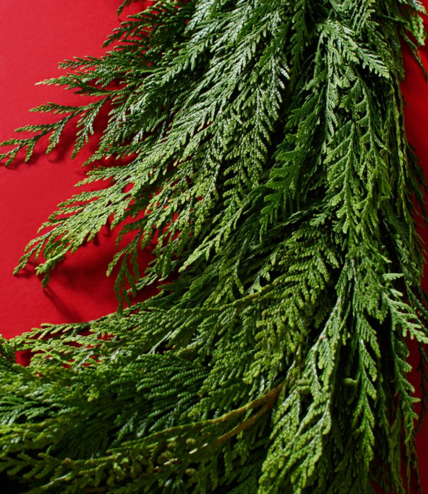 Cedar Garland 6'