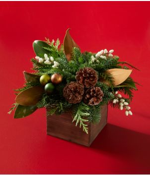 Magnolia Eucalyptus Centerpiece, New