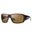  Color Option: Matte Havana/Polarized Brown, $175.