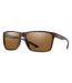 Color Option: Matte Tortoise/Polar Brown, $245