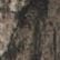 Mossy Oak Country DNA