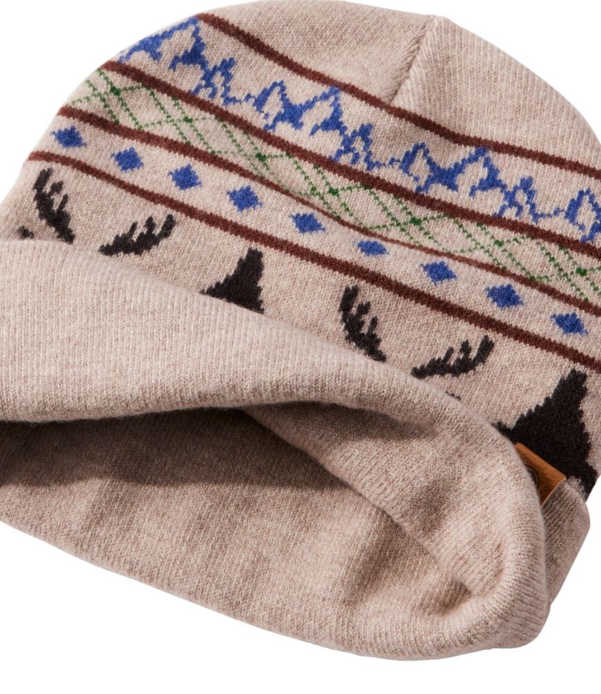 Men's Pistil Willard Beanie