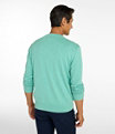 All Seasons Cotton Blend V-Neck Sweater Men's Regular, Seaboard Blue Heather, small image number 2