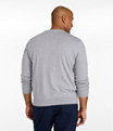All Seasons Cotton Blend V-Neck Sweater Men's Regular, Seaboard Blue Heather, small image number 4