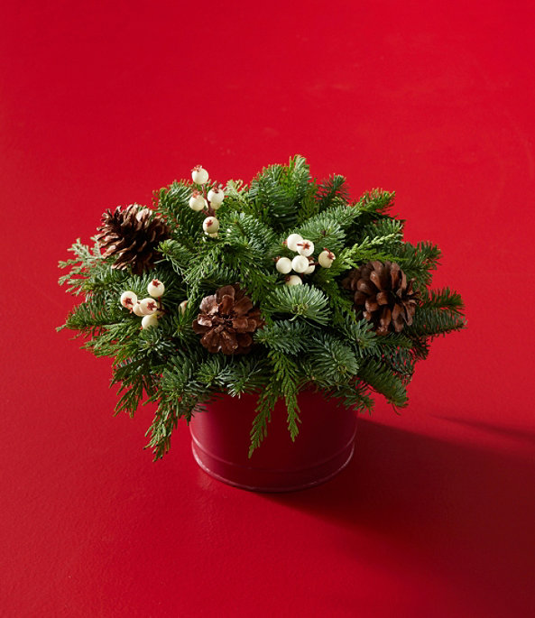 Snow Berry Centerpiece, One Color, large image number 0