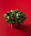Snow Berry Centerpiece, One Color, small image number 0