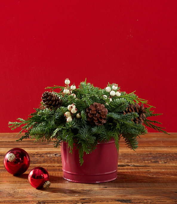 Snow Berry Centerpiece, One Color, large image number 1