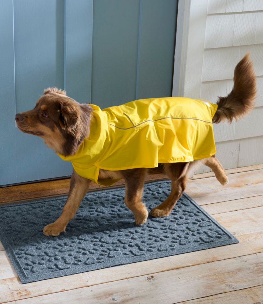 Discovery Dog Rain Jacket, New