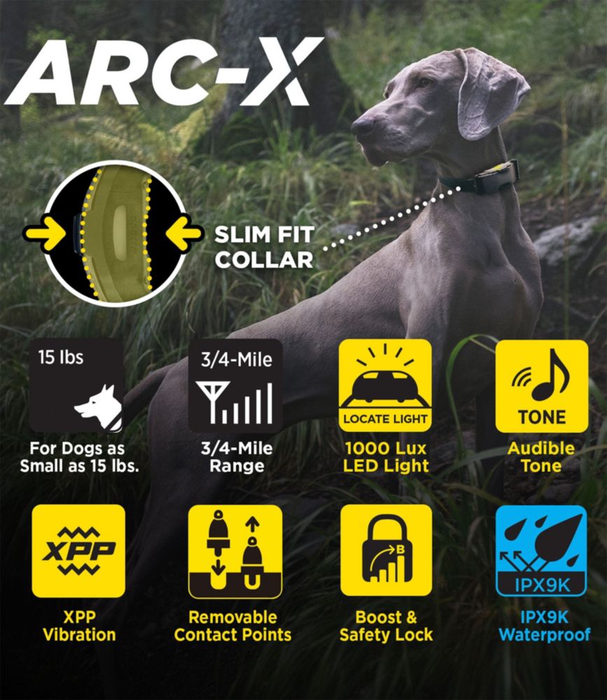 Dogtra ARC-X Training Collar