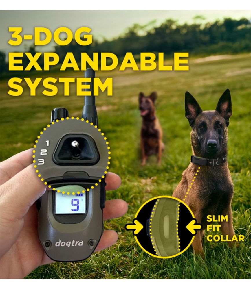 Dogtra ARC-X Training Collar