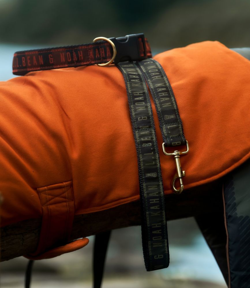 L.L.Bean & Noah Kahan Reversible Field Coat for Dogs, Canyon Rust, small image number 4