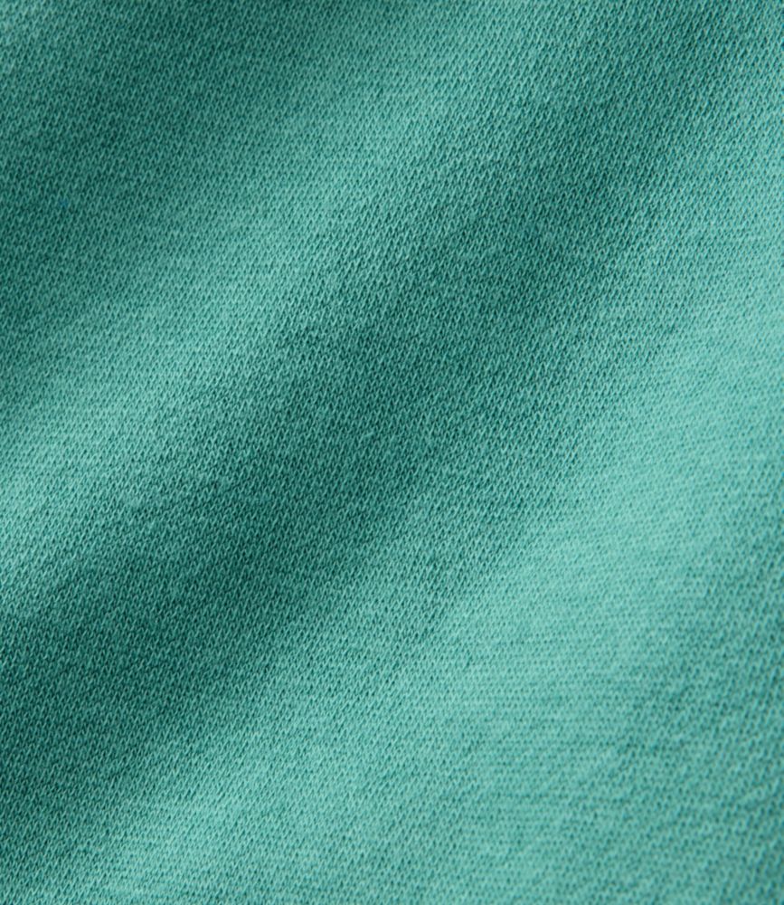 Men's Essential Graphic Sweatshirts, Hoodie, Classic Navy L.L.Bean, small image number 8