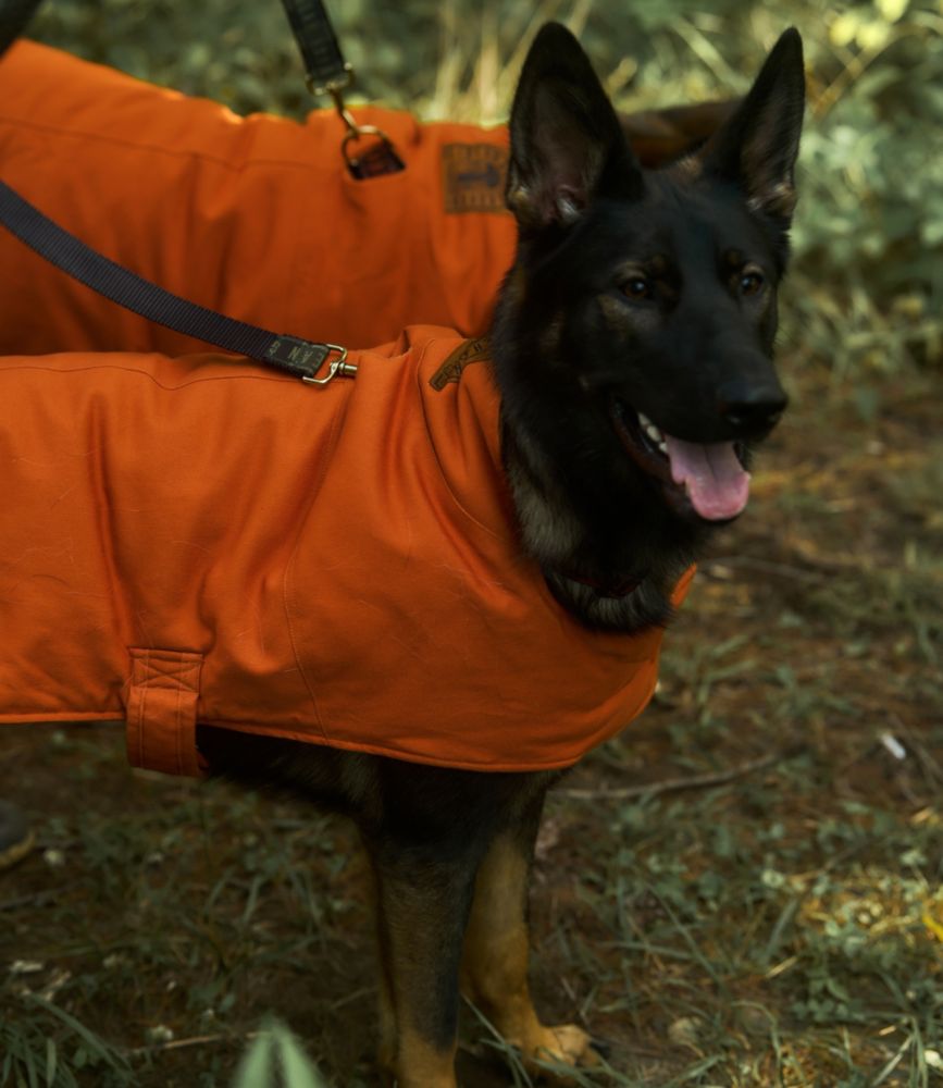 L.L.Bean & Noah Kahan Reversible Field Coat for Dogs, Canyon Rust, small image number 4