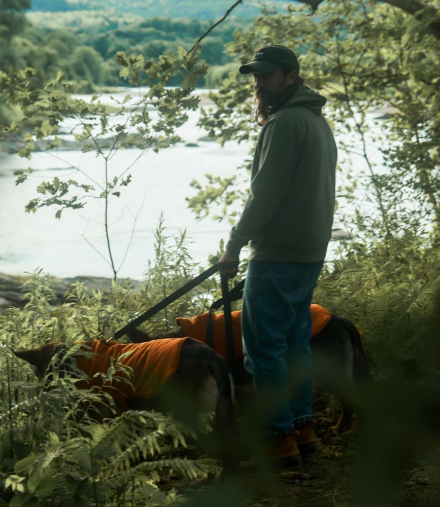 L.L.Bean & Noah Kahan Reversible Field Coat for Dogs, Canyon Rust, small image number 5