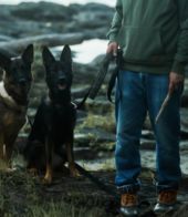 Additional View, view 3 of 4