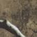 Mossy Oak Country Roots, color 1 of 1