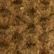 Dark Bronze Heather