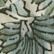 Faded Sage Batik Floral Print