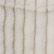 Silver Birch