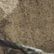 Mossy Oak Country Roots, color 1 of 1