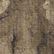 Mossy Oak Country Roots, color 1 of 1