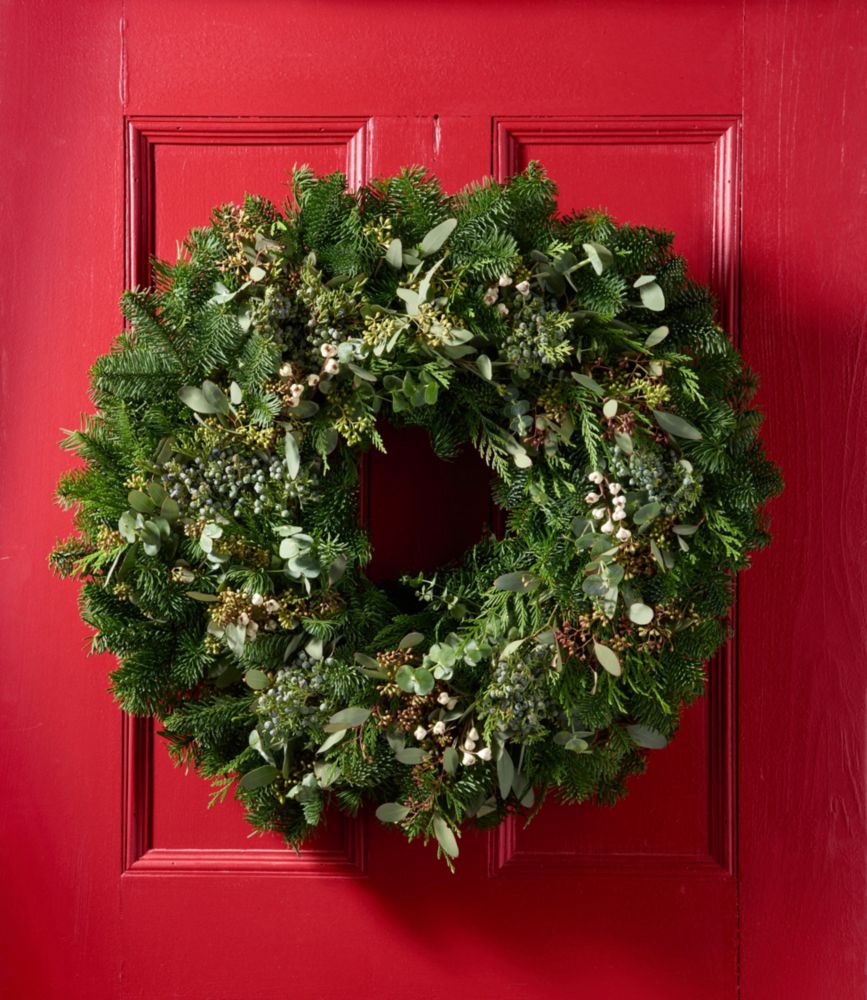 Fresh Evergreen Eucalyptus Wreath, 24"