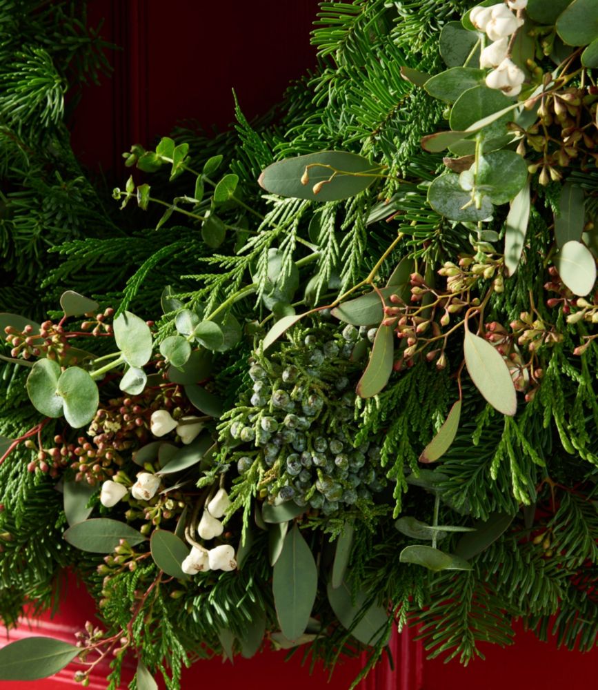 Fresh Evergreen Eucalyptus Wreath, 24"