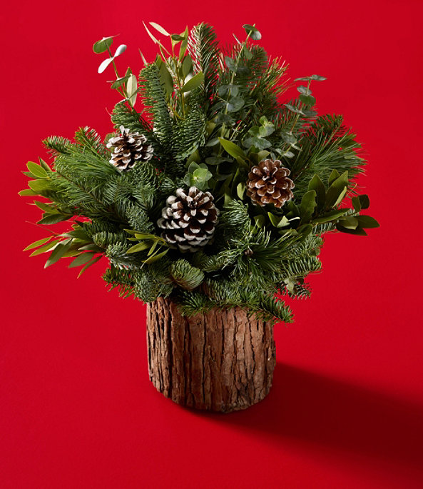 Evergreen Eucalyptus Centerpiece Large, One Color, large image number 0
