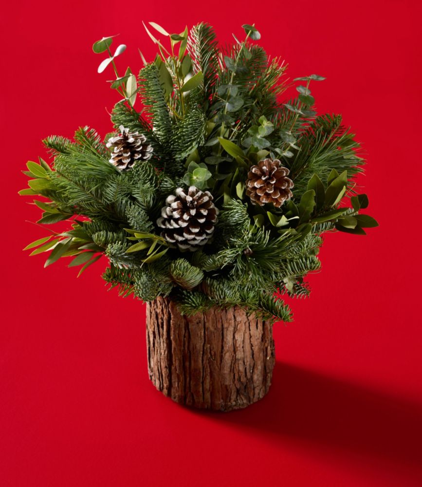 Evergreen Eucalyptus Centerpiece Large