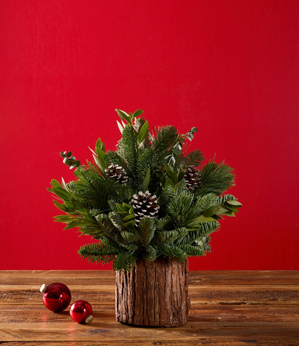 Evergreen Eucalyptus Centerpiece Large, One Color, large image number 1