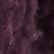 Fig, color 2 of 3