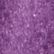 Wood Violet