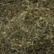 Kelp Green, color 1 of 1