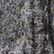 Medium Gray