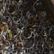 Harris Tweed Gray/Brown Plaid, color 1 of 1