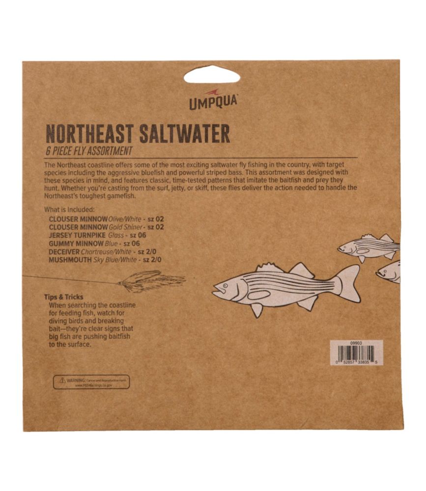 Umpqua Northeast Saltwater Fly Assortment, 6 flies