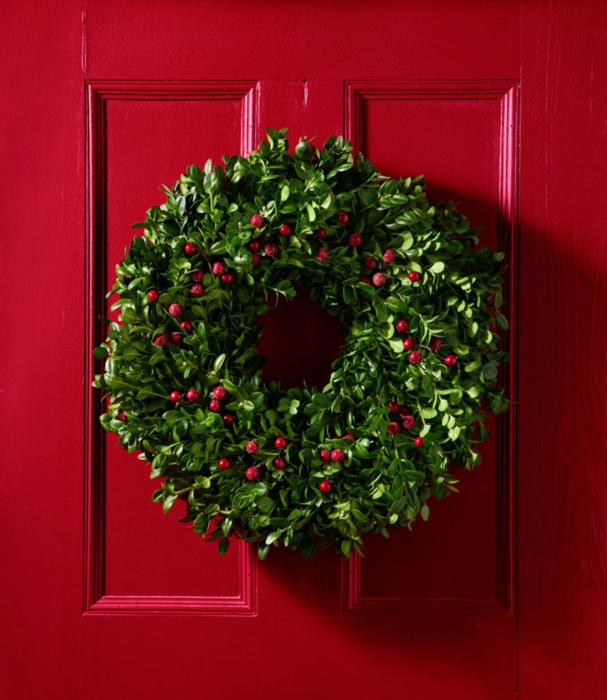 Fresh Boxwood Berry Wreath, 20"