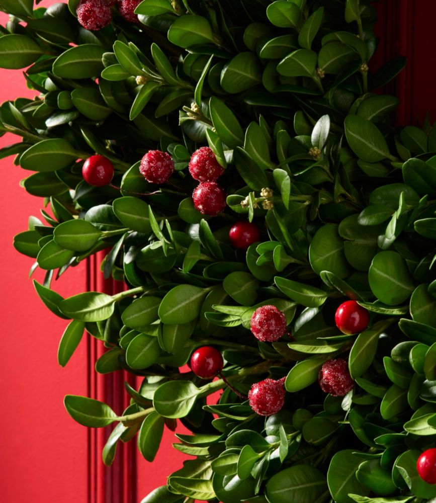 Fresh Boxwood Berry Wreath, 20"
