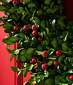 Boxwood Berry Wreath 20", One Color, small image number 2
