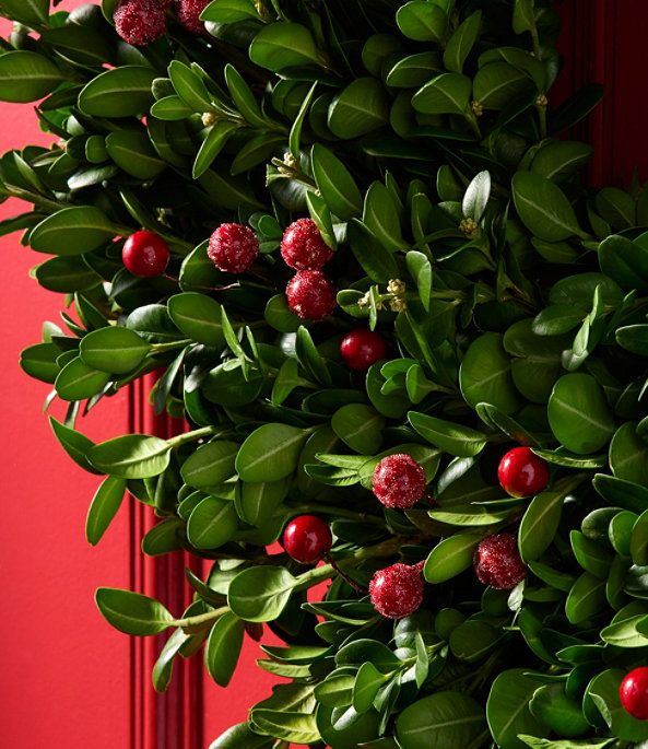 Boxwood Berry Wreath 20", One Color, large image number 2