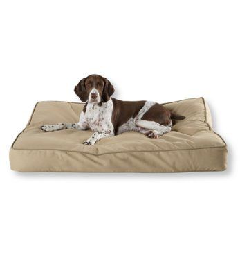 ll bean dog mat