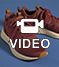 Video: Stone Coast Sneakers Womens